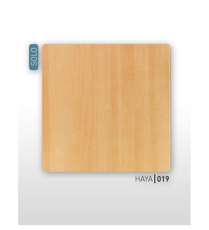 Haya 019