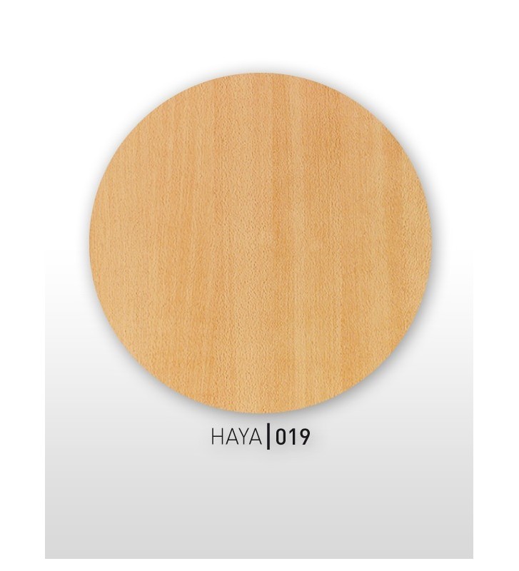Haya 019