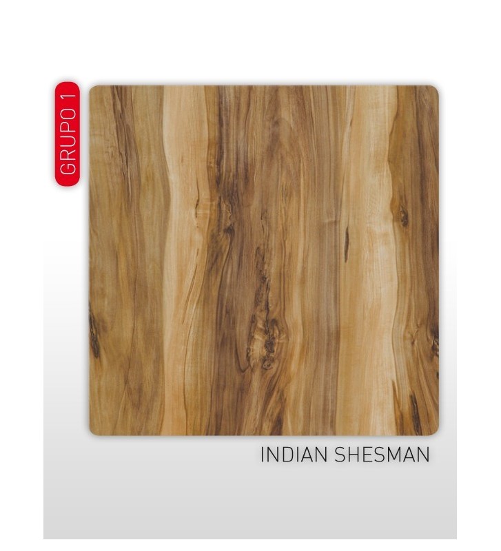 Indian Shesman